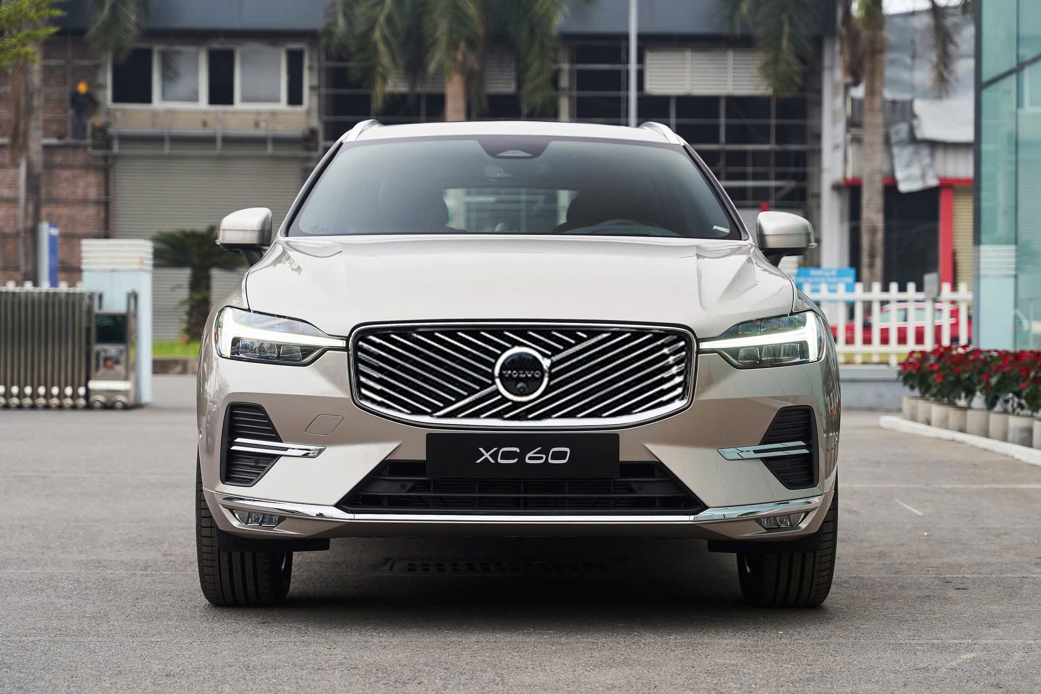 xc60-vang-dong-bright-dusk